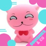Squishy chaton timide - Animaux - Squishies France
